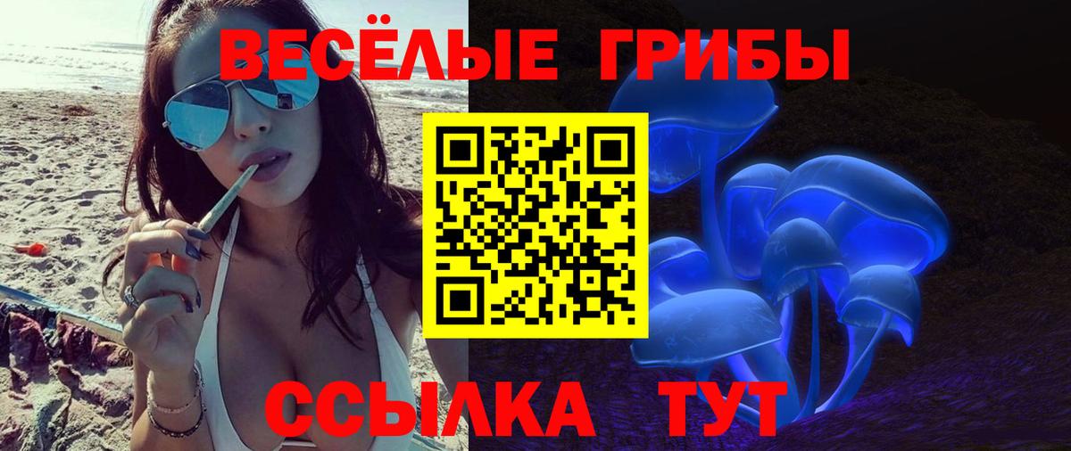 Галлюциногенные грибы мицелий  Вход с VPN  Галлюциногенные грибы мухоморы  Фролово 